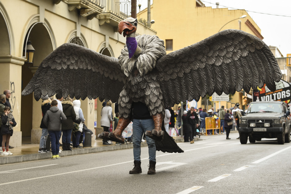 La rua de Carnestoltes 2023 de la Bisbal en imatges
