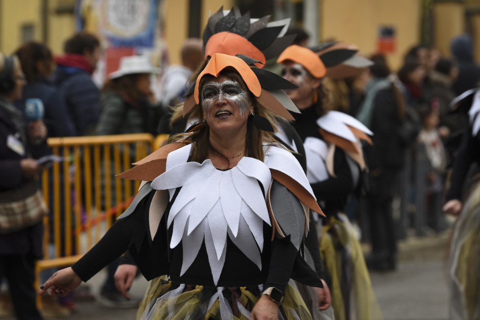La rua de Carnestoltes 2023 de la Bisbal en imatges