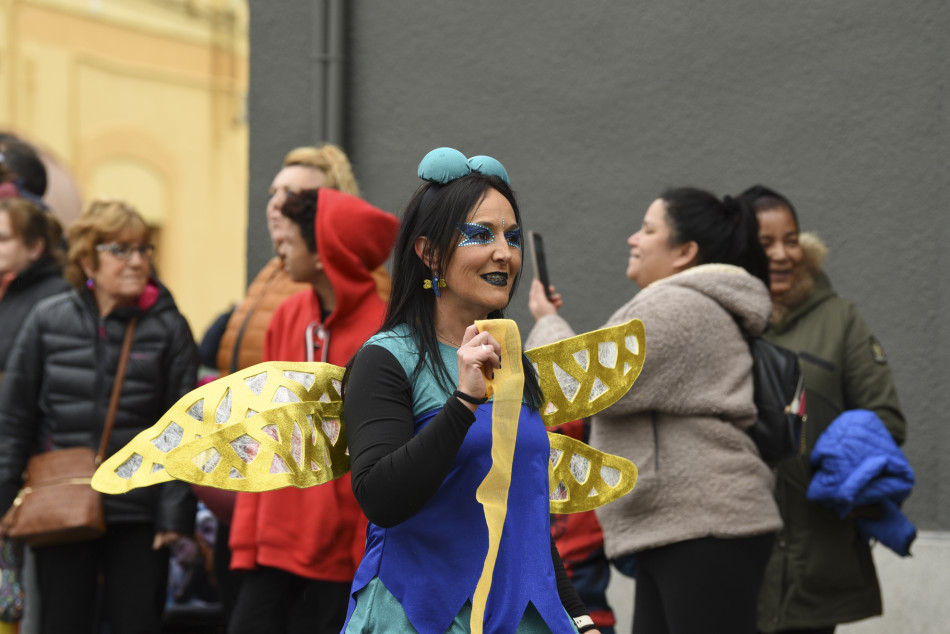 La rua de Carnestoltes 2023 de la Bisbal en imatges