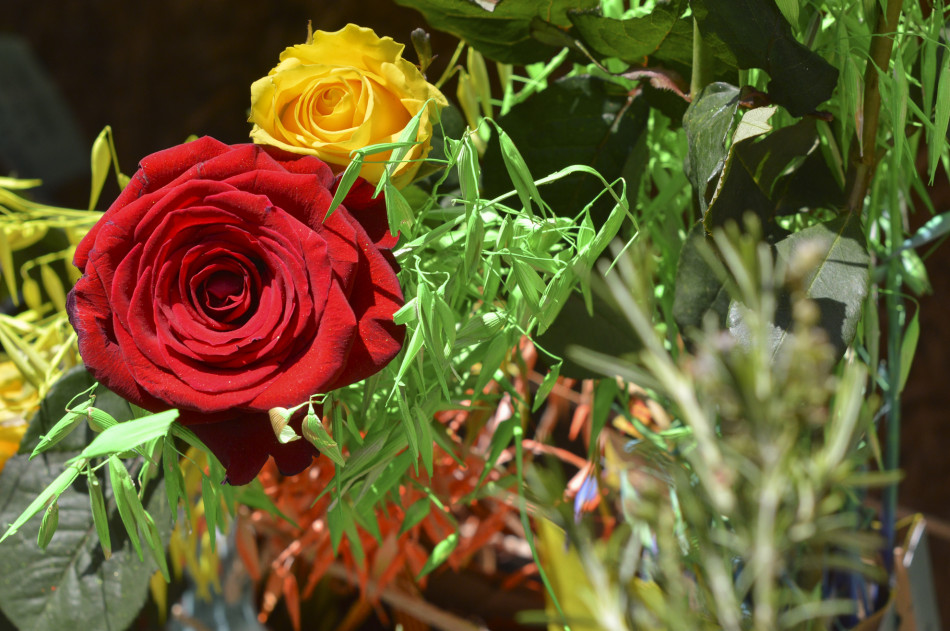 La Diada de Sant Jordi 2023 a la Bisbal d'Empordà en imatges