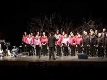 4t Concert solidari Dolors Vicens en benefici de la Fundació Oncolliga