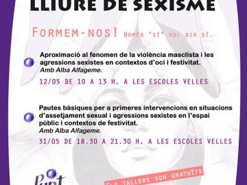 Viu la festa lliure de sexisme. Pautes bàsiques per a primeres intervencions en situacions d'assetjament sexual