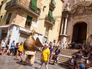 Baixada i ball de l'àliga
