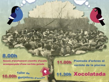 Festa de l'Arbre