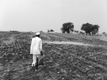 Saps què menges? Exposició de fotografies de Lluís Català. Entre el cel i la terra