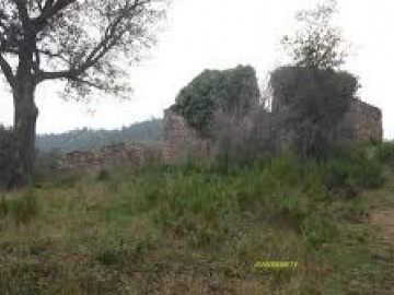 XXXVIII Marxa de l'Arboç