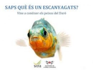 Educació ambiental Estimar per conèixer, conèixer per estimar