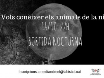 Sortida. Vols conèixer els animals de la nit? a càrrec de La Sitra, educació i divulgació mediambiental