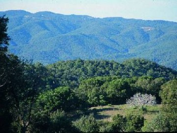 Gavarres, zona d'interès etnològic. Passejada matinal amb l'Ernest Costa
