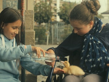 Cinema infantil / juvenil. Ocells de Pas