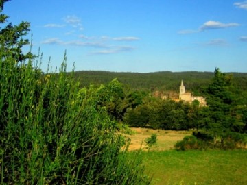 Dia Mundial de l'Activitat Física. Sortida nocturna al Santuari dels Àngels des de Sant Martí Vell