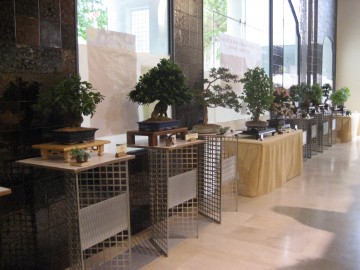 55è APLEC DE LA SARDANA. Inauguració exposició de bonsais