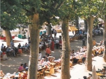 55è APLEC DE LA SARDANA. 24a Trobada de puntaires