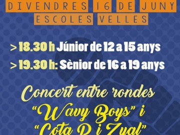 Cloenda del curs escolar de l’ESO Dual-UEC 2016-2017